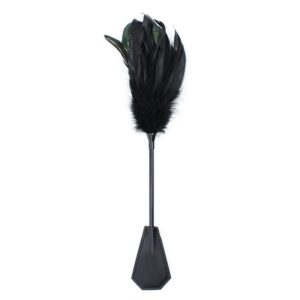 Paddle SM plume